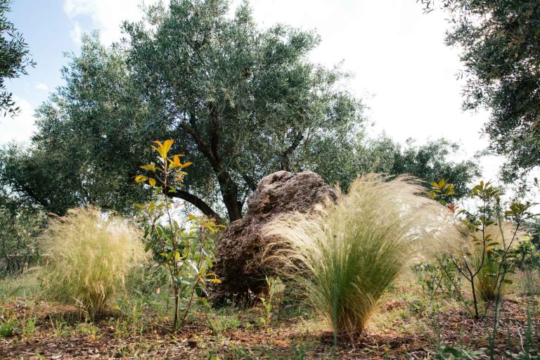 dula-ferienhaus-halikunas-07-garten-mediterran